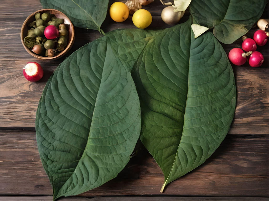 kratom - was du wissen solltest - acido.shop