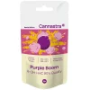 8-OH-HHC Blüten von cannastra Standbeutel boom